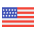 Flag of USA